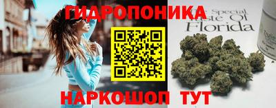 гашик Лесосибирск
