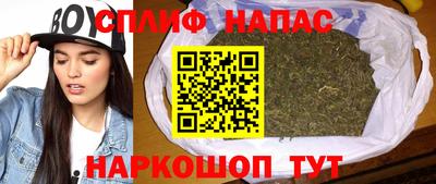 гашик Лесосибирск
