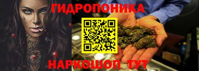 гашик Лесосибирск