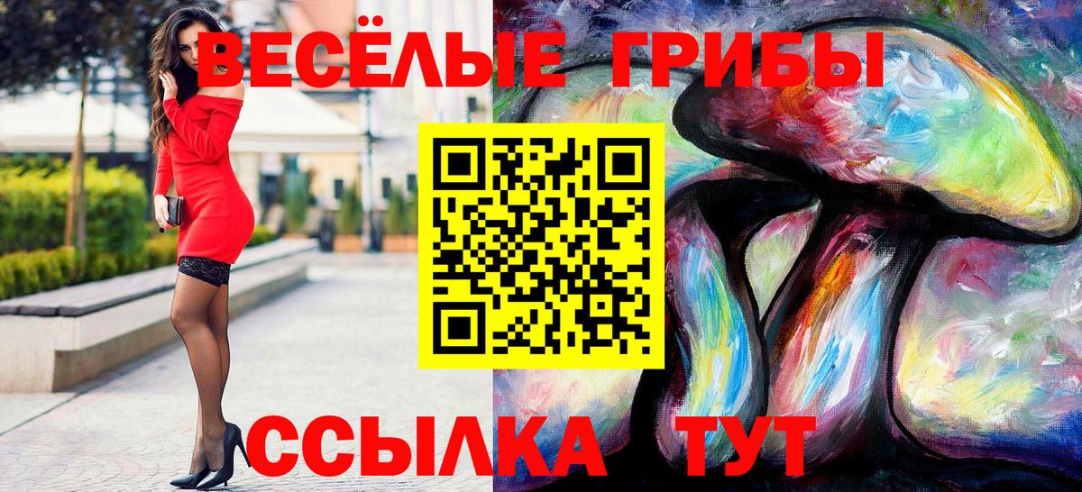 Псилоцибиновые грибы Psilocybine cubensis Щёлково