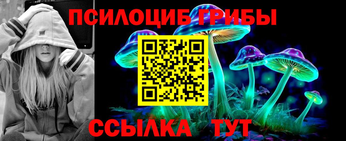 Щёлково  Псилоцибиновые грибы Psilocybine cubensis  Галлюциногенные грибы Cubensis  Вход с VPN 